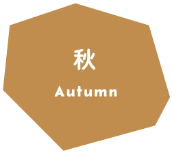 秋
